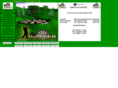 dartgolf.info