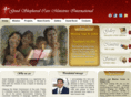 gsmin.org