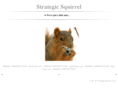 strategicsquirrel.com