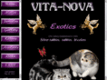 vitanova-cattery.com