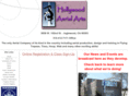 hollywoodaerialarts.com