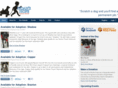 noahshopeanimalrescue.com
