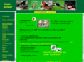 teamhalvor.com