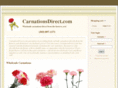 carnationsdirect.com