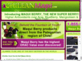 maquiburn.com