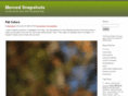 mercedsnapshots.com