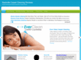 nashvillecarpetcleaning.net