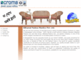 nilkamalbd.com