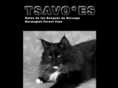 tsavo-cats.com