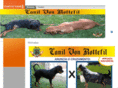 canilvonrottefil.com