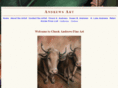 chuckandrewsfineart.com