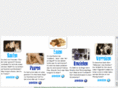 derblonde.com