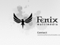 fenixmultimedia.com