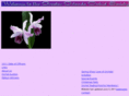 greaterorlandoorchidsociety.com