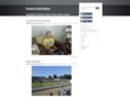 mswindel.com