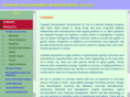 topmastcn.com