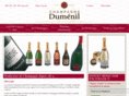 champagne-dumenil.com