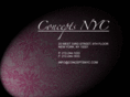 conceptsnyc.com