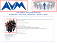 avmholdings.com