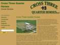 crossthreequarterhorses.com