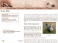 duck-birds.com