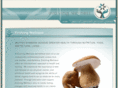 evolving-wellness.com