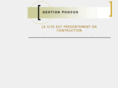 gestionphocus.com