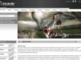 isaac-bicycles.com