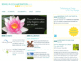 nancybevers.com