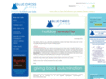 bluedresspress.com