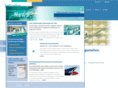 erp-einfuehrung.com