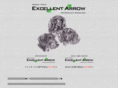excellent-arrow.com