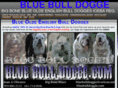 bluebulldogge.com