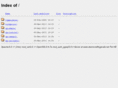 desmondfitzgerald.net