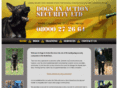 dogsinactionservices.com