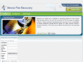 illinoisfilerecovery.com