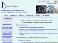 bluewirepartners.com