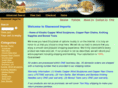 copperwindart.com