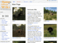 thehunterwiki.com