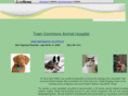 towncommonsanimalhospital.com