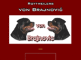 vonbrajnovic.com