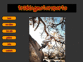 trialdogmotorsports.com