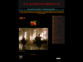 flamencozone.net