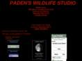 padenswildlifestudio.com