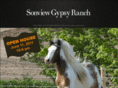 sonviewgypsyranch.com