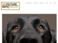 bigpicturerep.com