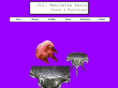 glass-furniture.com