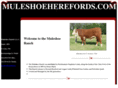 muleshoeherefords.com