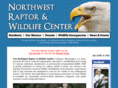 nwraptorcenter.com