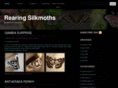 rearingsilkmoths.com